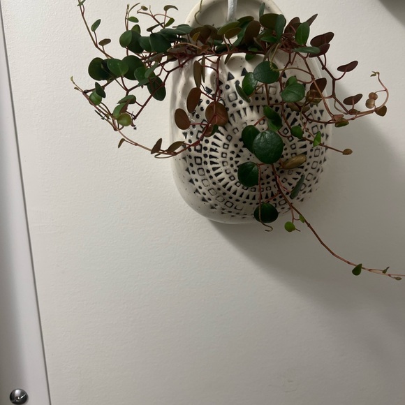 Patterned Ceramic Wall Planter - Picture 6 of 10